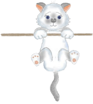 Katzestrampel