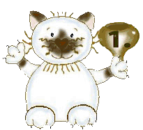 Katze-gewinner-bewegt